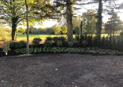 hoveniersbedrijf-de-tuinkabouter-epe-tuin-aanleg-onderhoud-sierbestrating-stenen-tegels-terras-galerij-003