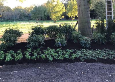 hoveniersbedrijf-de-tuinkabouter-epe-tuin-aanleg-onderhoud-sierbestrating-stenen-tegels-terras-galerij-005