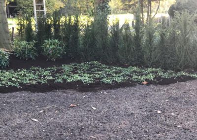 hoveniersbedrijf-de-tuinkabouter-epe-tuin-aanleg-onderhoud-sierbestrating-stenen-tegels-terras-galerij-006