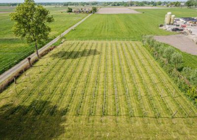 hoveniersbedrijf-de-tuinkabouter-in-epe-39