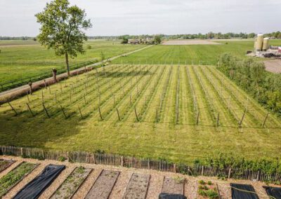 hoveniersbedrijf-de-tuinkabouter-in-epe-40