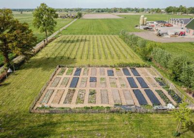 hoveniersbedrijf-de-tuinkabouter-in-epe-41
