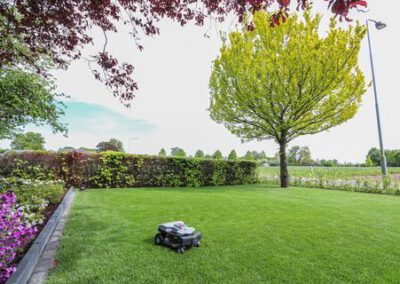 hoveniersbedrijf-de-tuinkabouter-in-epe-49