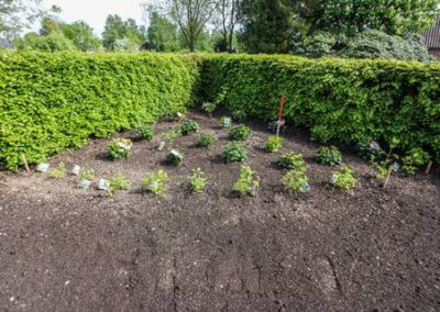hoveniersbedrijf-de-tuinkabouter-in-epe-53