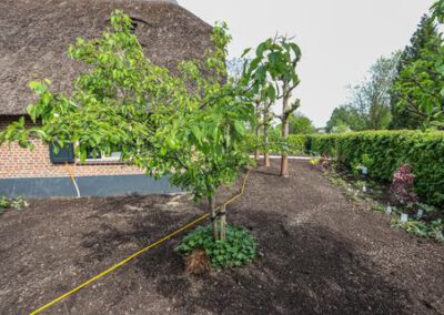hoveniersbedrijf-de-tuinkabouter-in-epe-57